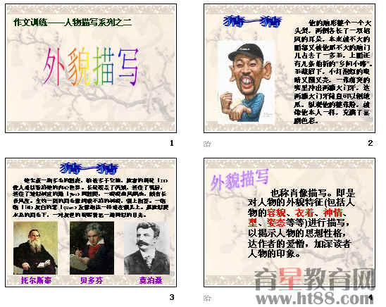 描述母亲外表的陈述