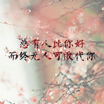 还有一些哲学上的句子：爱错人，每天都是愚人节