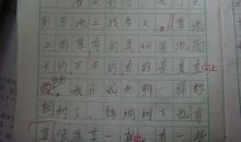 写香蕉的比喻句