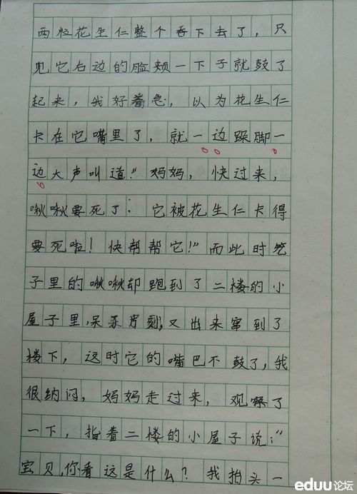 描述妈妈的容貌