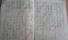 一就造句子大全二年级