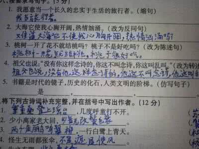 只需说一个完整的句子