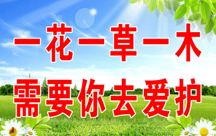 树的口号
