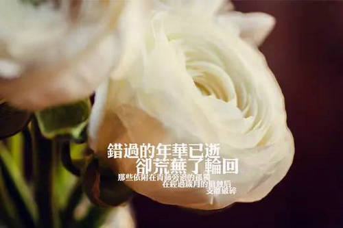 用词7的悲伤图片