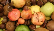 秋天果子拟人句