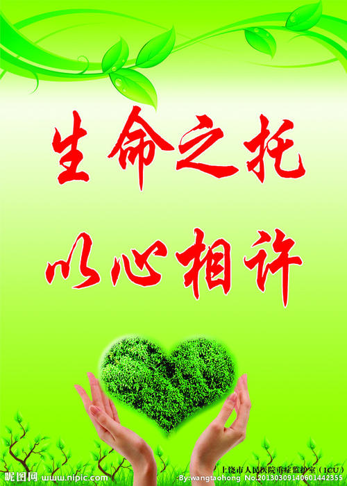 树的口号