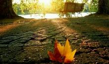 长大了就该懂得,人生没有寒暑假