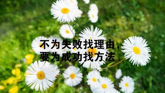 2019最新美句