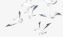 小鸟飞翔比喻句