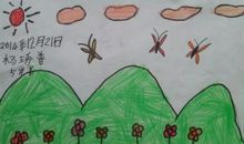 民间种植或养植的谚语