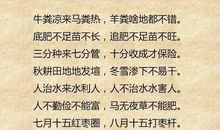 农业谚语大全简单