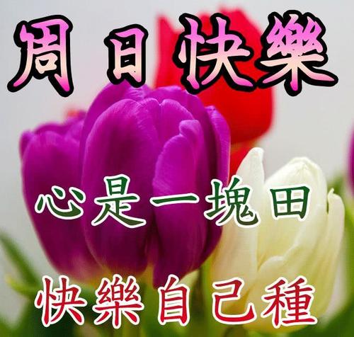 周末朋友的祝福
