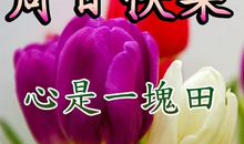 周末朋友祝福语