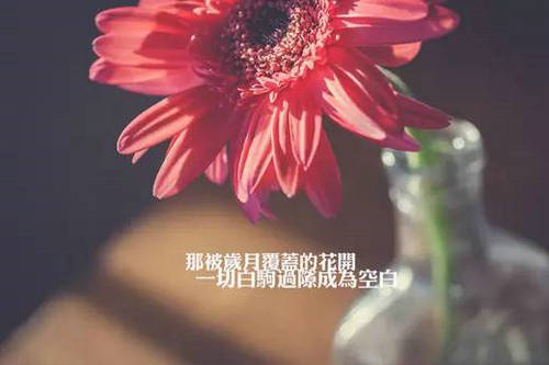 悲伤的话与单词6