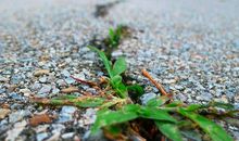 重重阻碍，正是让你成长，前进的动力