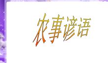 种植农事谚语