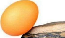 蚊子叮鸡蛋歇后语