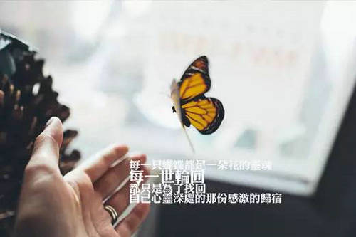 用词5的悲伤图片