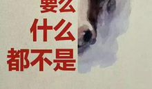 不放弃坚持到底的句子