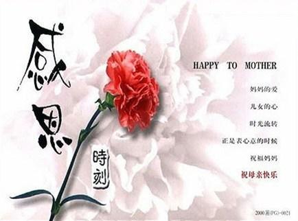 感恩伙伴的祝福