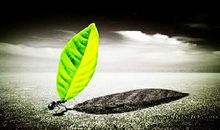 描写人生在低谷的诗句