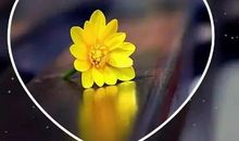 晚安的说说朋友圈简单