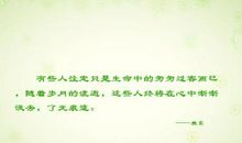 描写岁月匆匆的句子