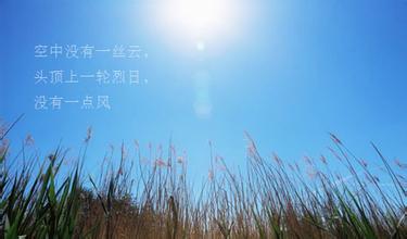 晚上的句子