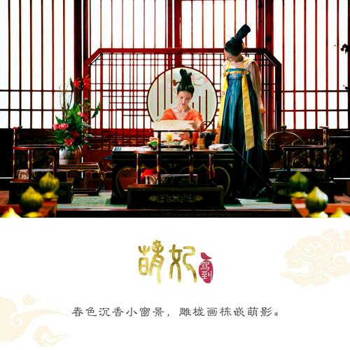 梦飞驾着经典名言