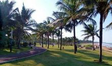 杀鸡取蛋歇后语