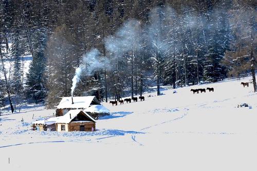 冬季雪隐喻