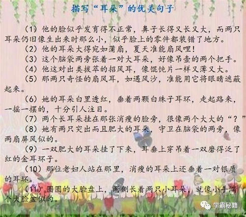 描述字符的句子