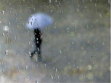描述冬天下雨天的句子