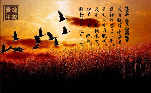 关于忧郁的诗