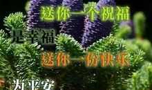 冬天的祝福语大全