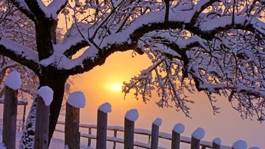 关于第一场雪的美丽句子
