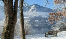 拟人句描写冬雨