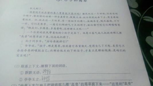 巨古子