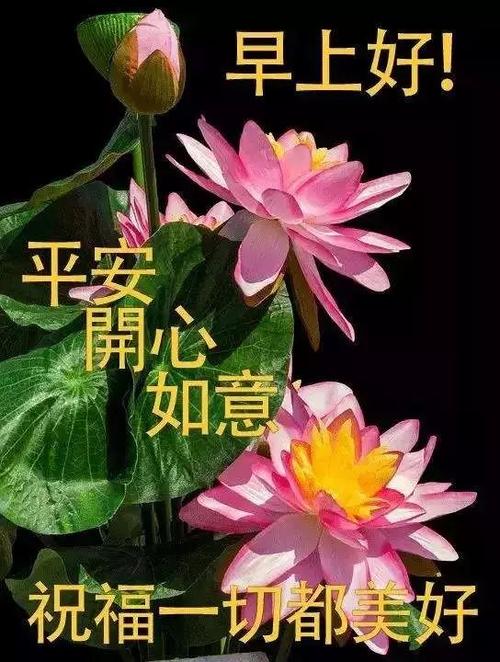 清晨的祝福