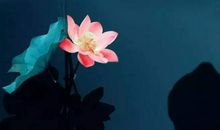 描写夏雨的优美片段