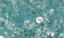 描写夏雨的拟人句子