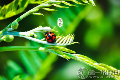 惊喜祝福