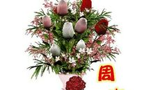 星期天的祝福语大全