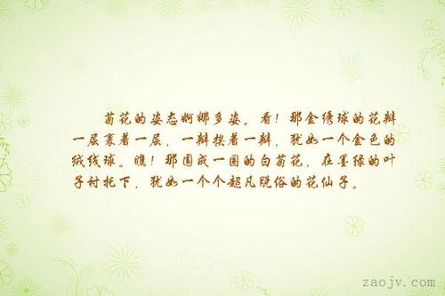 菊花