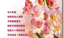 企业的母亲节祝福语