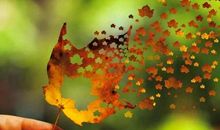 2018最新微信说说