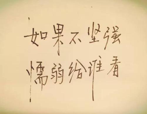 不要珍惜句子