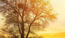 既然改变不了世界，只能试着融入了