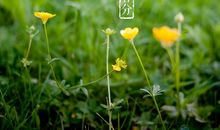 二十四节气祝福语