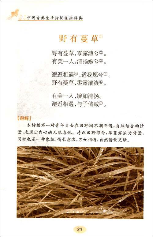 情诗古诗